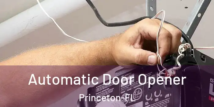  Automatic Door Opener Princeton-FL