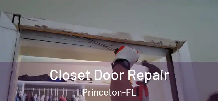 Closet Door Repair Princeton-FL