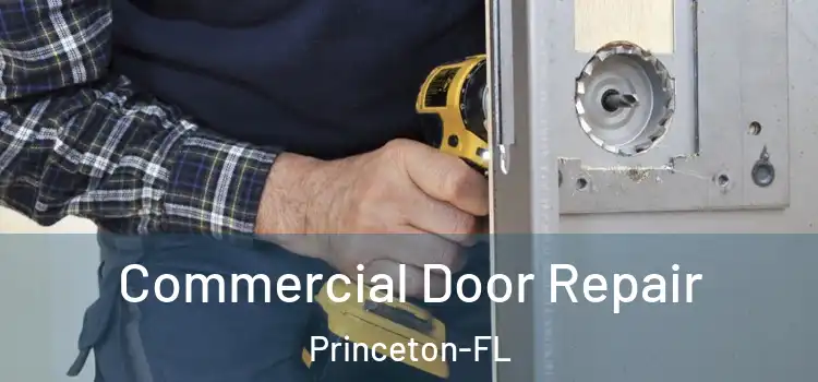 Commercial Door Repair Princeton-FL
