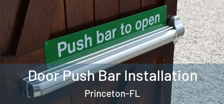  Door Push Bar Installation Princeton-FL