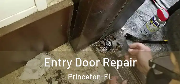 Entry Door Repair Princeton-FL