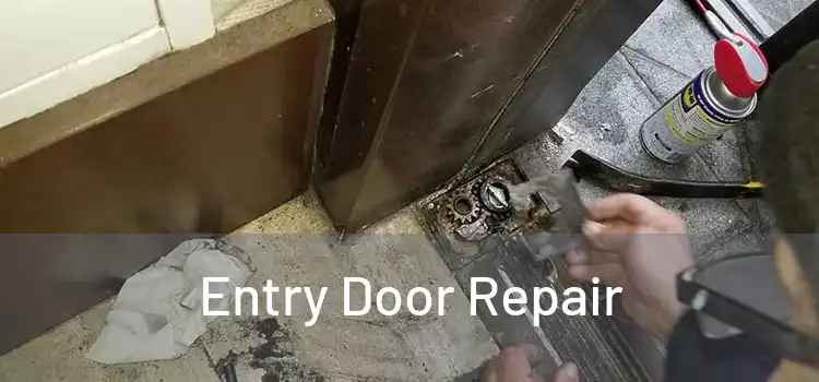 Entry Door Repair
