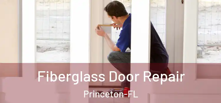 Fiberglass Door Repair Princeton-FL