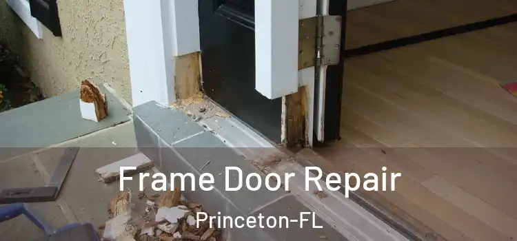 Frame Door Repair Princeton-FL