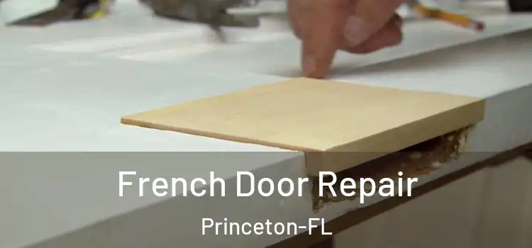  French Door Repair Princeton-FL