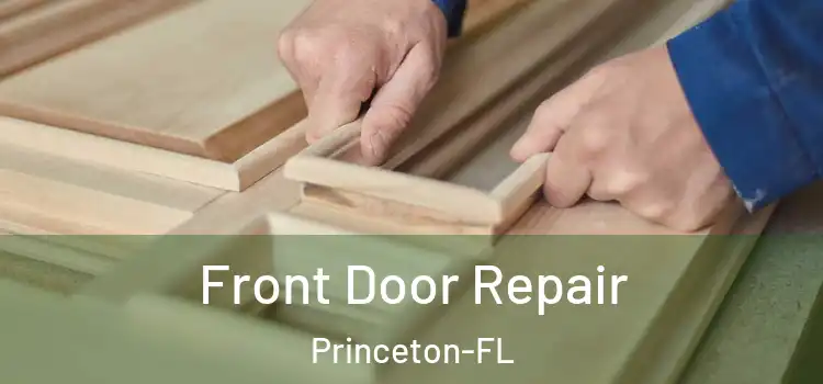  Front Door Repair Princeton-FL