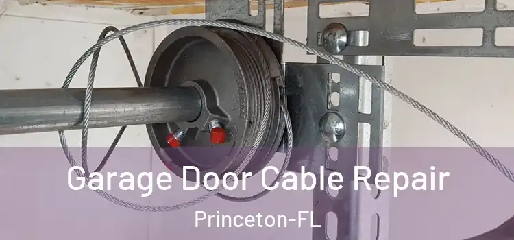 Garage Door Cable Repair Princeton-FL
