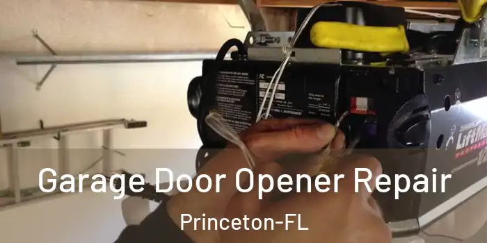 Garage Door Opener Repair Princeton-FL