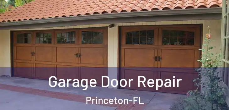 Garage Door Repair Princeton-FL