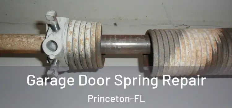 Garage Door Spring Repair Princeton-FL