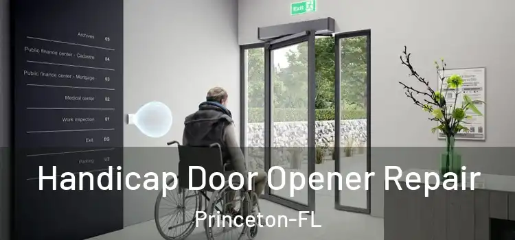 Handicap Door Opener Repair Princeton-FL