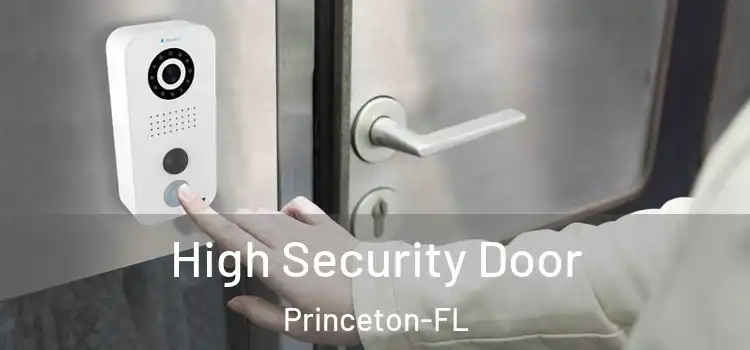 High Security Door Princeton-FL