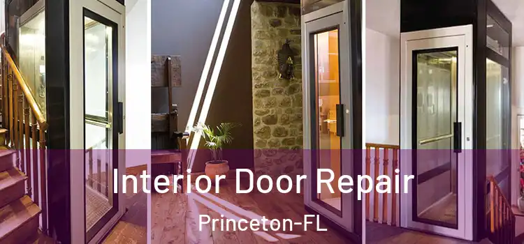  Interior Door Repair Princeton-FL