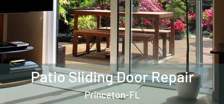 Patio Sliding Door Repair Princeton-FL
