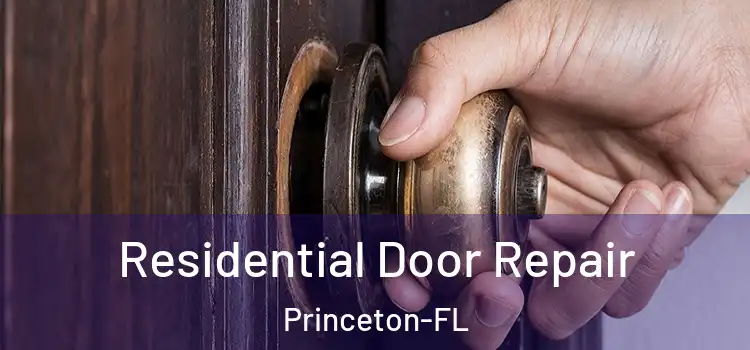 Residential Door Repair Princeton-FL