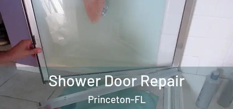 Shower Door Repair Princeton-FL