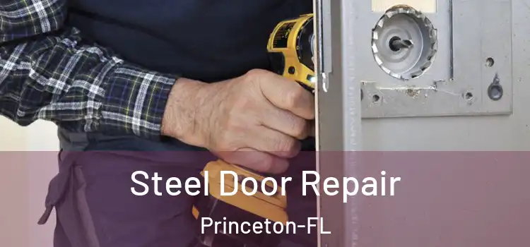 Steel Door Repair Princeton-FL